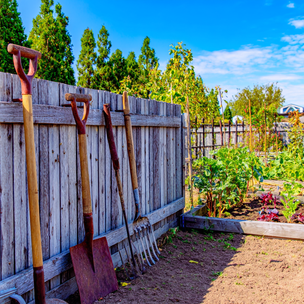 start your own garden