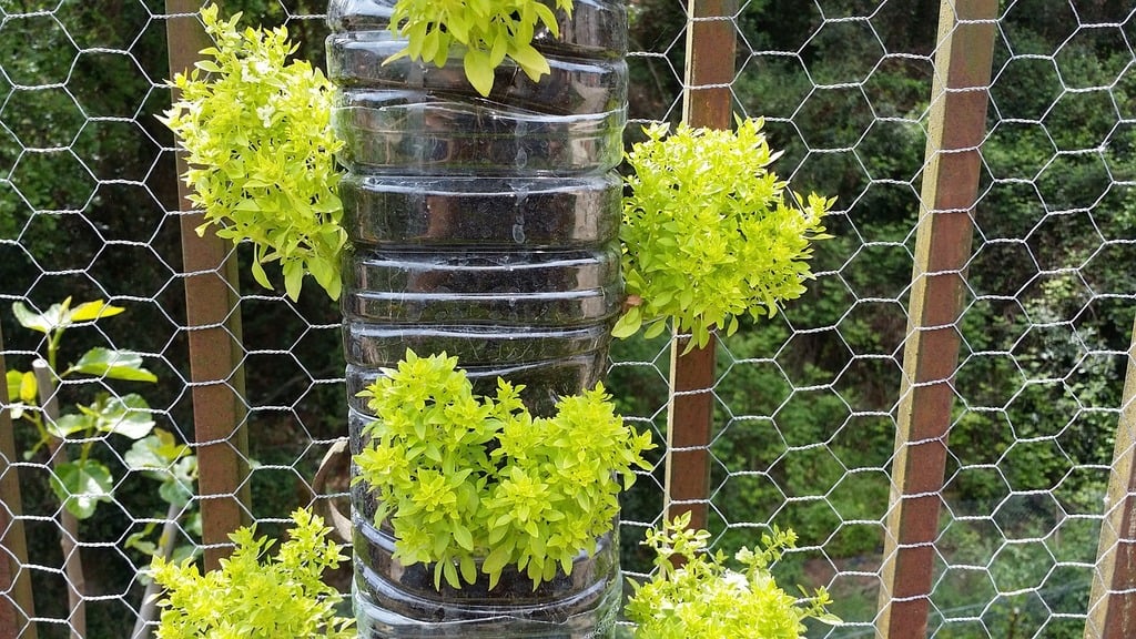 Urban Gardening