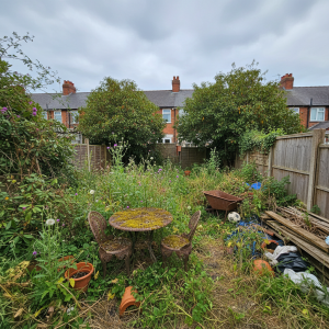 Overgrown Liverpool back garden before professional clearance work